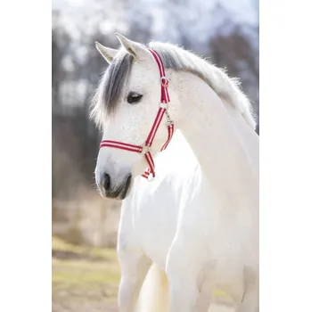 Stájovka Hippo nylonová béžovo/vín. 3/full