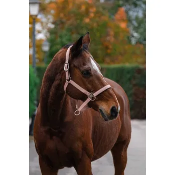 EQUITHEME Spring stájovka pro koně sv.růž. 3/full