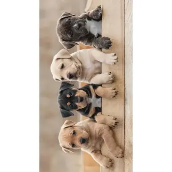 Osuška Carbotex Dog Team BRM013773 plážová osuška barevná 70x140