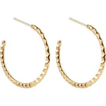 Náušnice Stylové pozlacené kruhy Priselle EWE250304G Emily Westwood