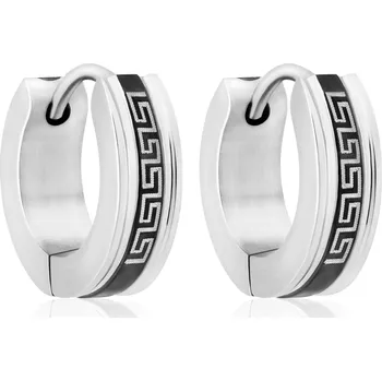 Náušnice Stylové ocelové náušnice kruhy VSE004S-PET Troli