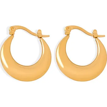 Náušnice Slušivé pozlacené kruhové náušnice z oceli VAAXF1180G Troli