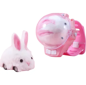 RC model auta RC auto s hodinkovým ovladačem 2,4 GHz dětská hračka s LED světly mini závodní auto se zvířátkem králíkem nabíjecí auto pro děti 3–12 let plast