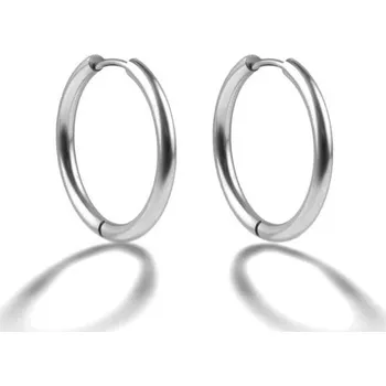 Náušnice Elegantní kruhy z oceli EWE25039S Emily Westwood / Průměr: 2,1 cm
