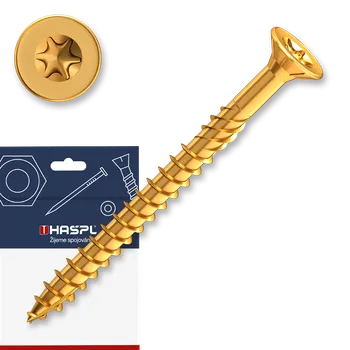 Vrut Vrut konstrukční 4,0x70 zápust.hl. TX20 ZZ sáček-20ks