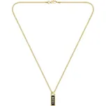 Pozlacený pánský náhrdelník Kassy Emblem 1580678 Hugo Boss