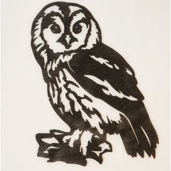 Obraz Sova obraz Tmavě hnědá lazura