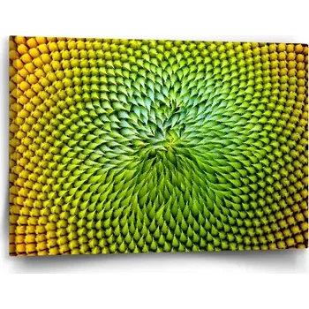 Obraz Sablio Obraz Detailní květ - 60x40 cm