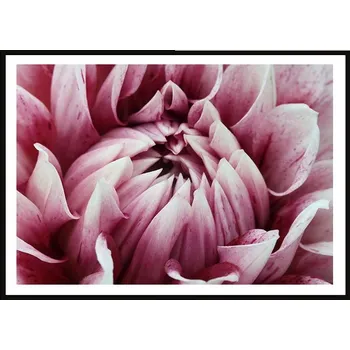 Obraz Plakát obraz v plakát 73 x 53 cm