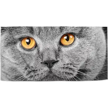 Osuška Sablio Ručník Kočičí pohled - 50x100 cm