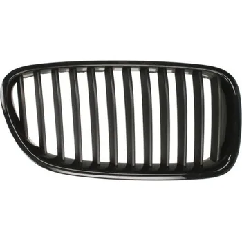 Posilovač řízení Blic 6502-07-0067991P Mřížka chladiče