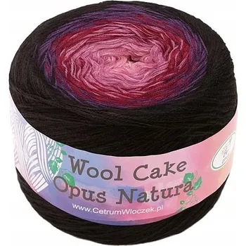 Příze Vlna WOOL CAKE 200 g/700 m, vlna ombre opus 50015