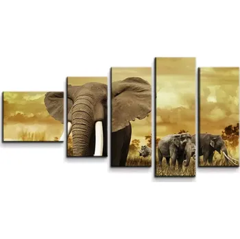 Obraz Sablio Obraz - 5-dílný Slon Africký - 100x60 cm