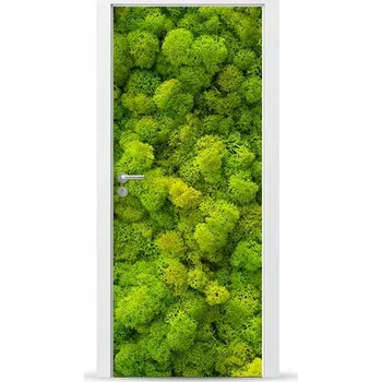 Fototapeta Fólie/Nálepka na VNĚJŠÍ dveře NÁBYTKOVÁ samolepicí SNADNÁ APLIKACE