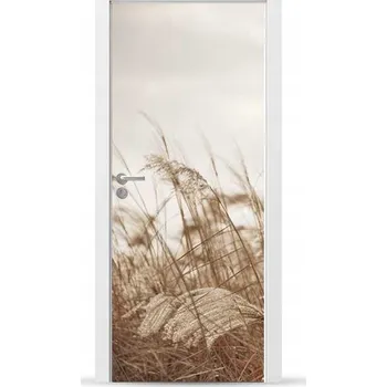 Fototapeta Fólie/Nálepka na VNĚJŠÍ dveře NÁBYTKOVÁ samolepicí SNADNÁ APLIKACE