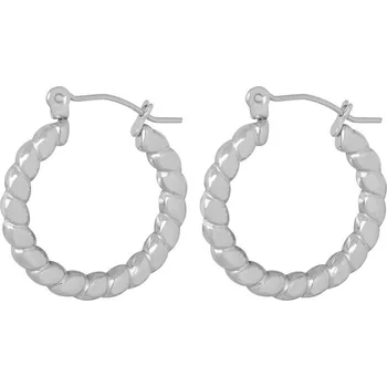 Náušnice Stylové ocelové náušnice kruhy VAAXF181S Troli