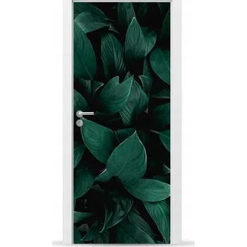 Fototapeta Fólie/Nálepka na VNĚJŠÍ dveře NÁBYTKOVÁ samolepicí SNADNÁ APLIKACE