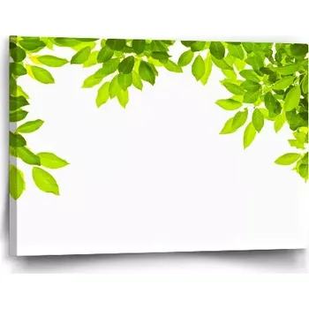 Obraz Sablio Obraz Listy - 60x40 cm