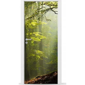 Fototapeta Fólie/Nálepka na VNĚJŠÍ dveře NÁBYTKOVÁ samolepicí SNADNÁ APLIKACE