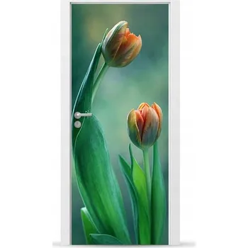 Fototapeta Fólie/Nálepka na VNĚJŠÍ dveře NÁBYTKOVÁ samolepicí SNADNÁ APLIKACE