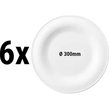 Talíř G.Gastro SELTMANN WEIDEN | Flat Porcelain Dinner Plate Ø 300 mm Blues – White