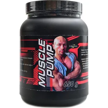 VISION nutrition Muscle pump 650 g - pomeranč