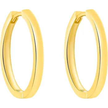 Náušnice Pozlacené kruhové náušnice AGT-E251K-GOLD Agato