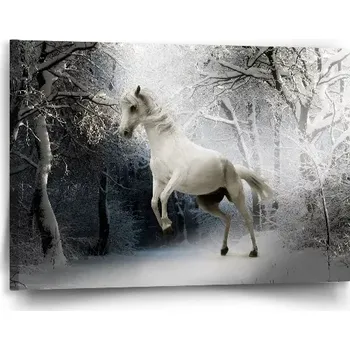 Obraz Sablio Obraz Bílý kůň - 90x60 cm