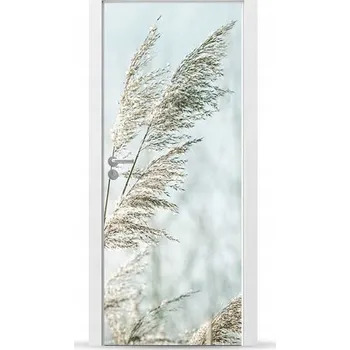 Fototapeta Fólie/Nálepka na VNĚJŠÍ dveře NÁBYTKOVÁ samolepicí SNADNÁ APLIKACE