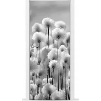 Fototapeta Fólie/Nálepka na VNĚJŠÍ dveře NÁBYTKOVÁ samolepicí SNADNÁ APLIKACE