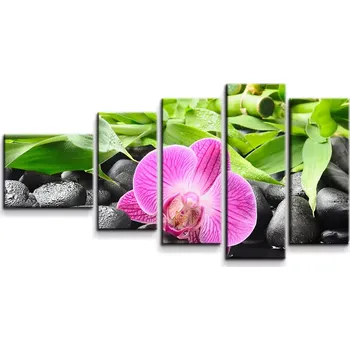 Obraz Sablio Obraz - 5-dílný Růžová orchidej - 100x60 cm