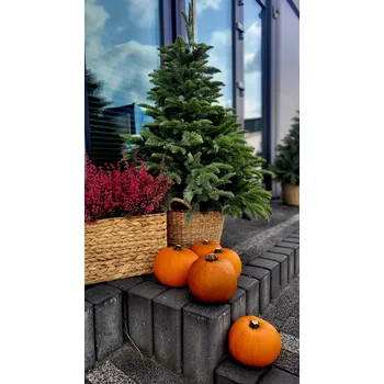 Vánoční stromek Umělý vánoční stromeček iStone 121 - 150 cm