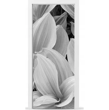 Fototapeta Fólie/Nálepka na VNĚJŠÍ dveře NÁBYTKOVÁ samolepicí SNADNÁ APLIKACE