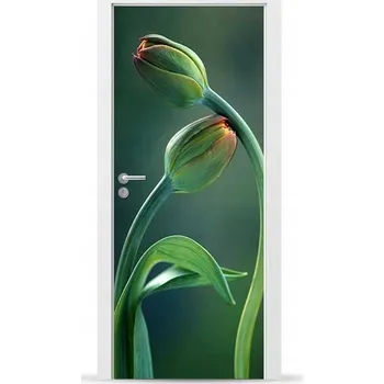 Fototapeta Fólie/Nálepka na VNĚJŠÍ dveře NÁBYTKOVÁ samolepicí SNADNÁ APLIKACE