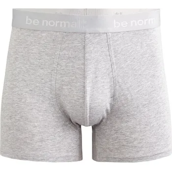 Pánské spodní prádlo Pánské spodní prádlo CELIO BINORMAL L Šedá