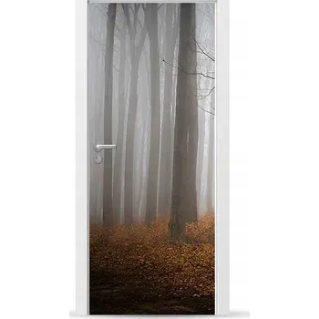 Fototapeta Fólie/Nálepka na VNĚJŠÍ dveře NÁBYTKOVÁ samolepicí SNADNÁ APLIKACE