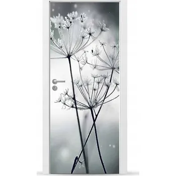 Fototapeta Fólie/Nálepka na VNĚJŠÍ dveře NÁBYTKOVÁ samolepicí SNADNÁ APLIKACE