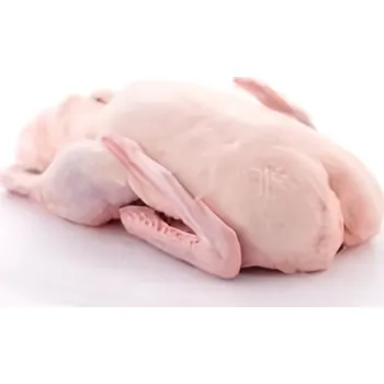 Kachna bez drobů 2.1kg