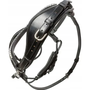 Ohlávka Kavalkade Ayana anatomická 2 (cob)