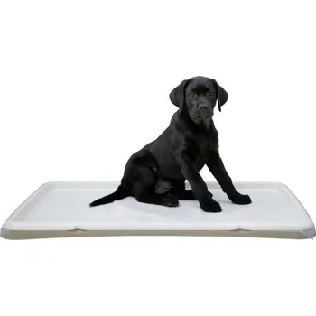 Chov hospodářského zvířete Toaleta pro štěňata, 60 x 90 cm, béžová