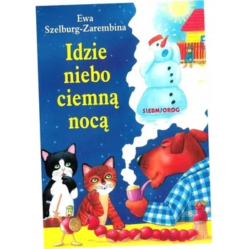 Umění Idzie niebo ciemną nocą Kolektiv autorů