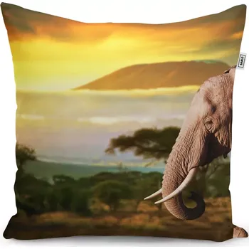 Polštář Sablio Polštář Slon z profilu - 40x40 cm