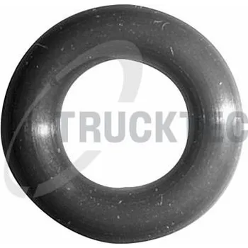 Systém vstřikování Těsnicí kroužek, vstřikování TRUCKTEC AUTOMOTIVE 08.13.004