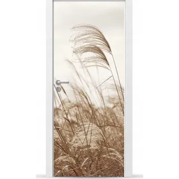 Fototapeta Fólie/Nálepka na VNĚJŠÍ dveře NÁBYTKOVÁ samolepicí SNADNÁ APLIKACE