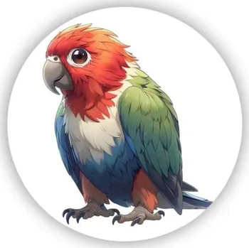Dekorativní magnet Magnetka 60x60mm ve tvaru kruhu - tropický papoušek