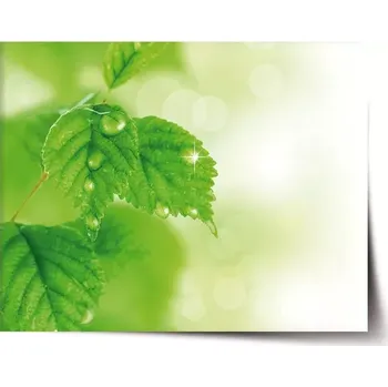 Plakát Sablio Plakát Listy 2 - 60x40 cm