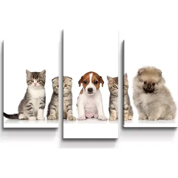 Obraz Sablio Obraz - 3-dílný Mláďátka - 75x50 cm