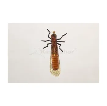 Umělá nástraha Kingfisher Salmonfly vel.06
