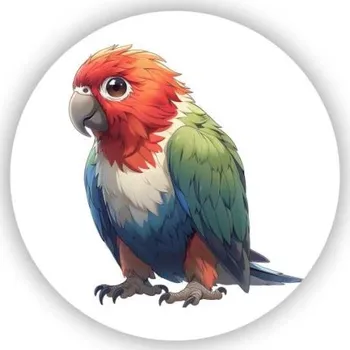 Dekorativní magnet Magnetka 65x65mm ve tvaru kruhu - tropický papoušek