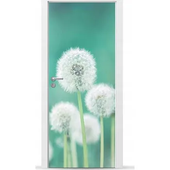 Fototapeta Fólie/Nálepka na VNĚJŠÍ dveře NÁBYTKOVÁ samolepicí SNADNÁ APLIKACE